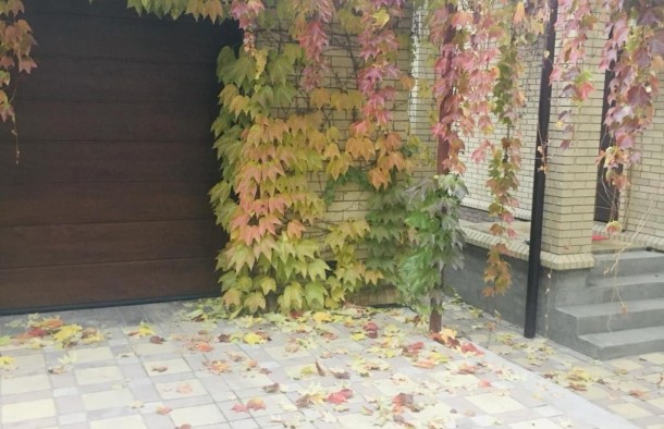 Продаж будинка в центрі Бородинського, фото 1