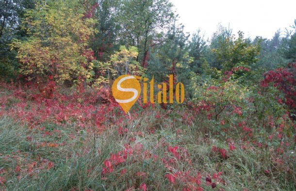 Простора 2кімнатна квартира в ЖК Лісова казка 2., фото 16