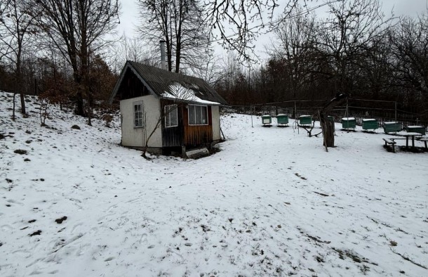 Земельна ділянка з будинком в с.Посіч 2625884601020010910, фото 12