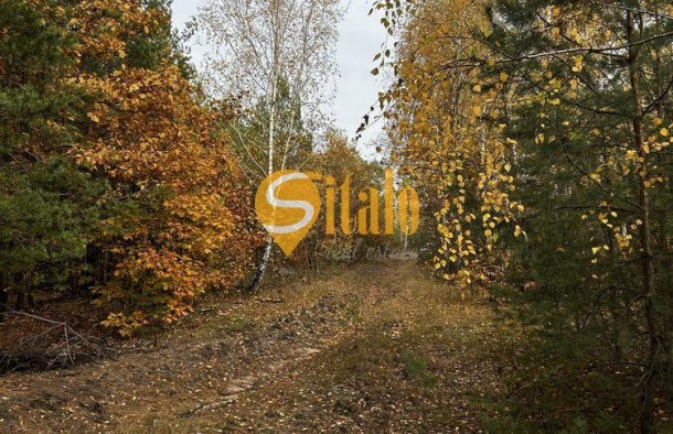 Простора 2кімнатна квартира в ЖК Лісова казка 2., фото 7