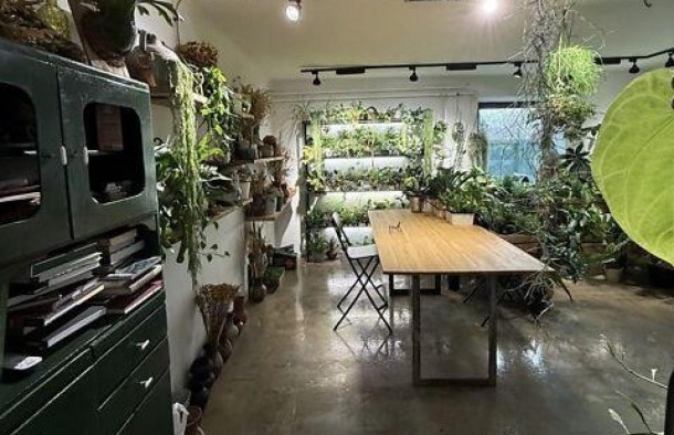 3 кімнатна квартира з дизайнерським ремонтом біля Шевченківського Гаю, вулиця Ріпина, Львів. Львів, фото 4