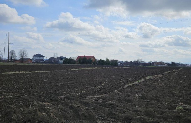 Земельна ділянка 14.86 сотих в с.Сопівм.Коломия, фото 15