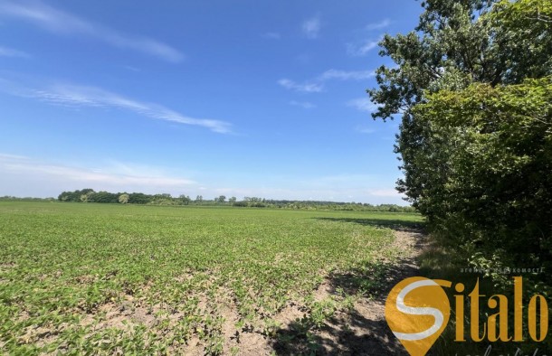Продаж земельна ділянка під житлову забудову 1гА сс.Черлянське Передмістя Городоцький рн Львівська обл., фото 7