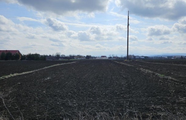 Земельна ділянка 14.86 сотих в с.Сопівм.Коломия, фото 9