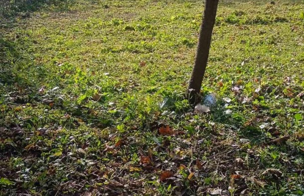 Продаж земельної ділянкиПавлівка, фото 2