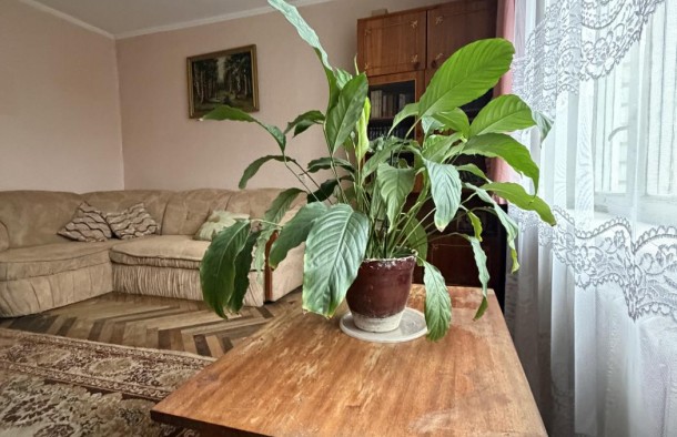 2 кімнатна, Цегла, Виговського, Львів, фото 15