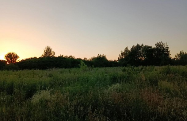 Земельна ділянка рівної і правильної форми 20 соток в перспективному селі Ременів, фото 8