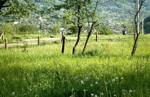 Земельна ділянка 54 сотихм.Яремче, фото 11
