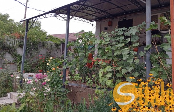 Продаж  Будинок  вул. Шевченка, Олександрівський, Запоріжжя, фото 15