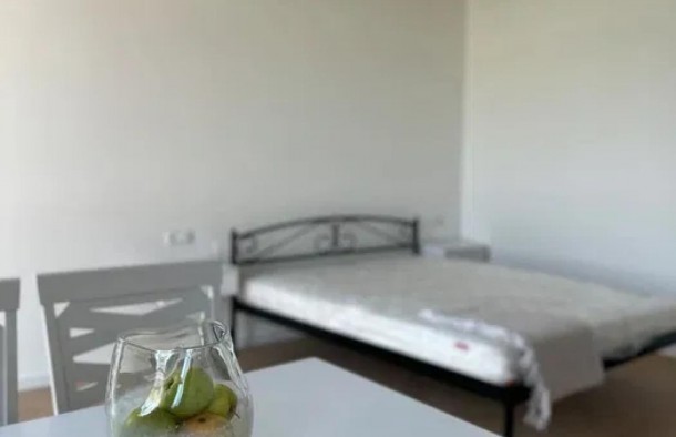 Оренда  1кінатна квартира вул. Стрийська 113, м. Львів, фото 14