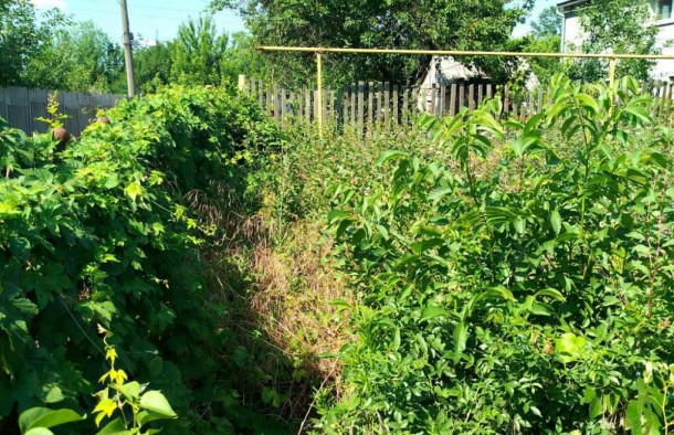 Продаж дачі с будинком, фото 4