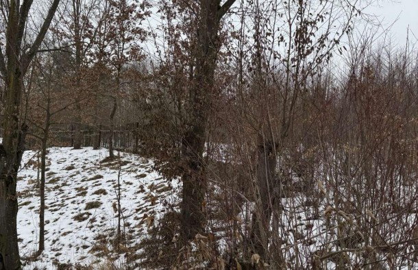 Земельна ділянка з будинком в с.Посіч 2625884601020010910, фото 6