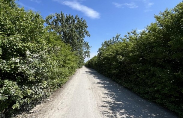 Продаж земельна ділянка під житлову забудову 1гА сс.Черлянське Передмістя Городоцький рн Львівська обл., фото 9