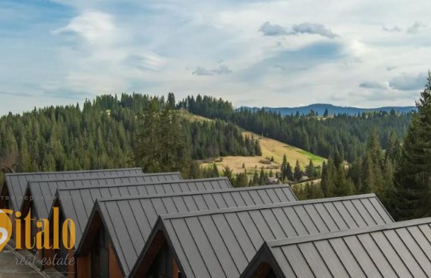 ПродажапартаментибудинокремонтБуковельЯблуниця, фото 13