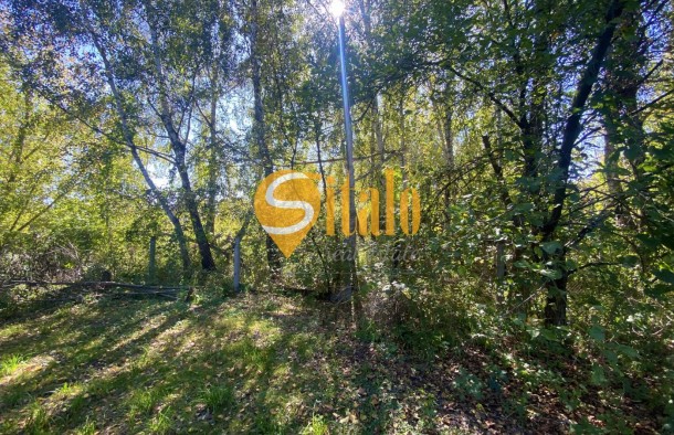 Ділянка з виходом до водойми в затишному місці Романків, СТ Барвінок, Новообухівський напрямок, 14 соток., фото 13