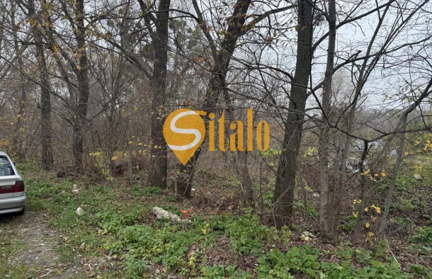 25 соток в тихому місці. Вишеньки, поруч КМ Золоче. Без, фото 9