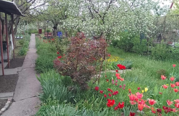 Продаж  Будинок  ДомСтудентська, Шевченківський, Запоріжжя, фото 3