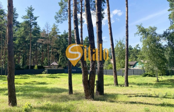 У сосновому лісі біля Романківська Усадьба, Новообухівський напрямок, 42,61 сотки, фото 10