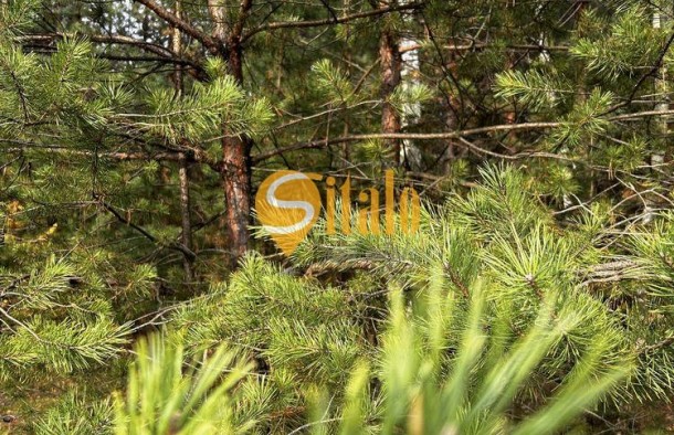 Простора 2кімнатна квартира в ЖК Лісова казка 2., фото 20