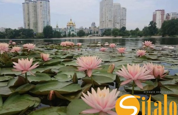 Продається 1 кімнатна квартира біля озера Тельбін Проспект Тичини 111, Березняки, фото 2