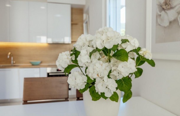 Продаж квартир в Чорногорії в Баошичі bs012201bd_s8062, фото 20