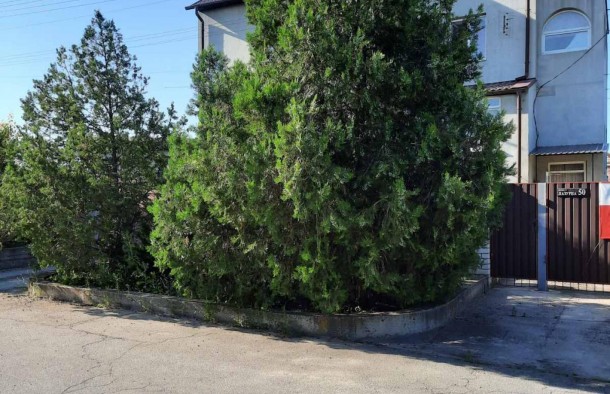 Продаж будинку Правий Берег Сонячний, фото 16