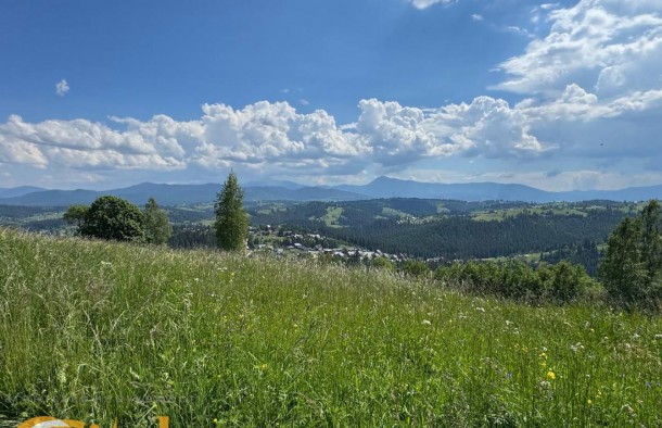 Продається земеля  в Яблуниці  Карпати, фото 13
