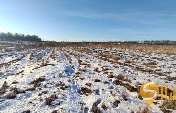 Продаж земельної ділянки в Зимній Воді, фото 11