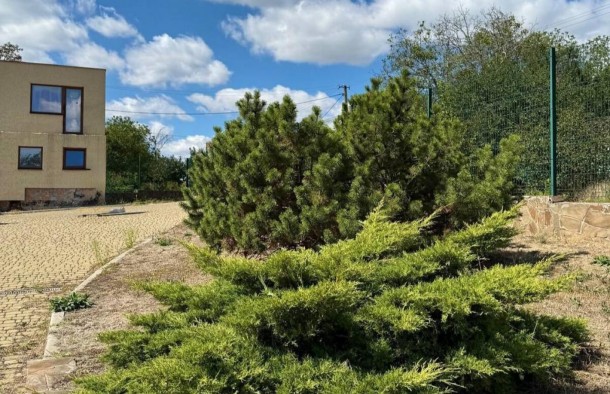 Особистий рай на березі Дніпра, фото 4