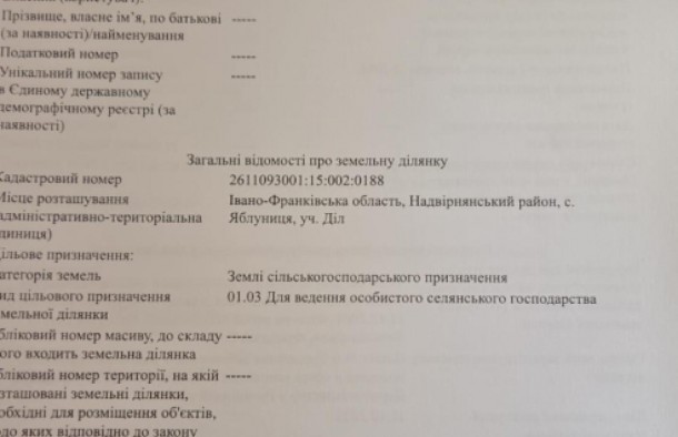 Продається Земельна ділянка в Яблуниці, фото 8