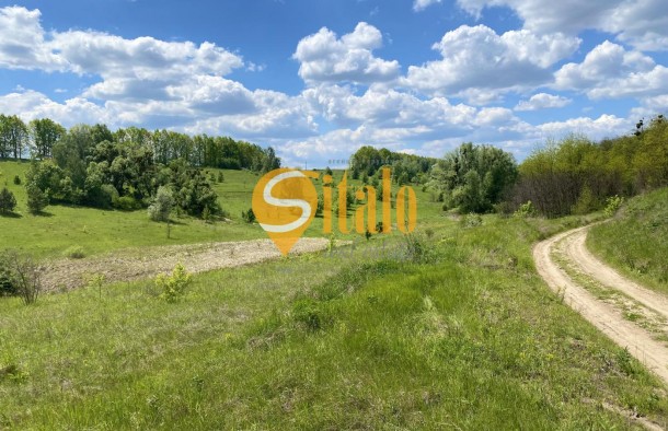 Видова ділянка серед мальовничих пагорбів в Малих Дмитровичах, 50 сот, фото 12