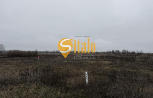 Вишеньки, простора ділянка поруч КМ Золоче., фото 6