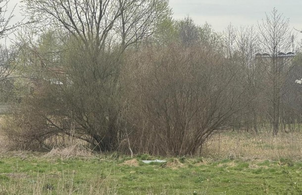 Продаж  Земля під інд. будівництво   Рудне, фото 4
