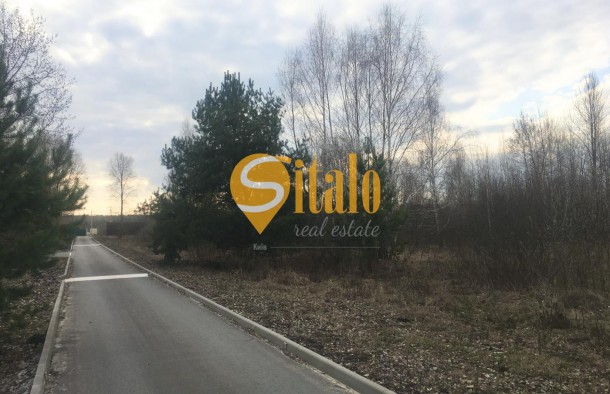 Продаж ділянки у березовому гаю біля річки Козинка Козин КончаЗаспа, Рудики, Плюти., фото 4