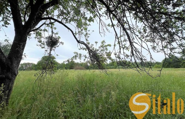 Земельна ділянка під житлову забудову с. Грушів Яворівський рн Львівська обл., фото 3