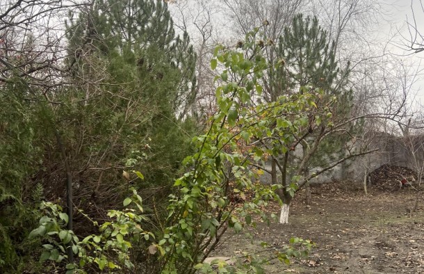 Продаж будинку на правому березі, Дніпровський район, фото 7