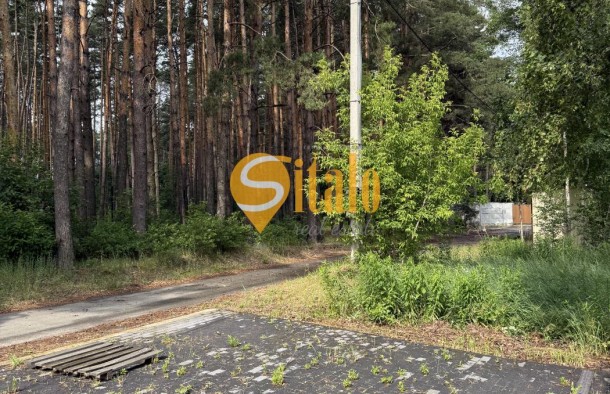 Двох поверховий будинок біля лісу, тиша та спокій. Гнідин  Без, фото 29