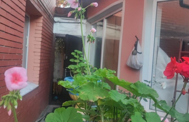 Продаж  Будинок  Дніпровський, Запоріжжя, фото 3
