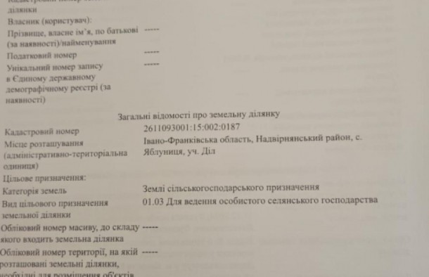 Продається Земельна ділянка в Яблуниці, фото 5