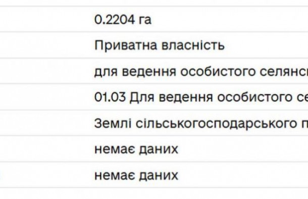 Продаж земельної ділянки в Брюховичах, фото 4