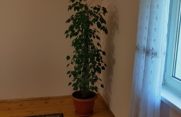 Продається будинок з зем. ділянкою 5.4 сотих. Демянів лаз., фото 6