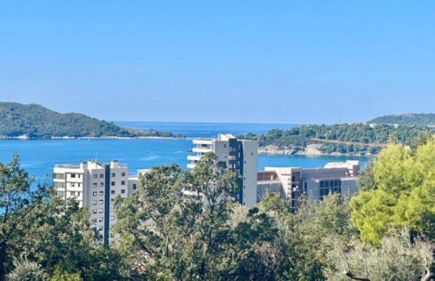 Продаж квартир в Чорногорії в Рафаїловичі rf01449.1bd_s8324, фото 1