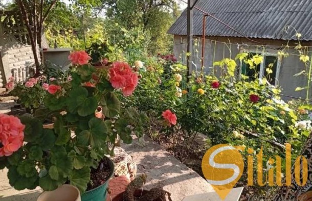 Продаж  Будинок  вул. Шевченка, Олександрівський, Запоріжжя, фото 21