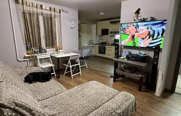 Трикімнатна  квартира з ремонтом ,космос., фото 8