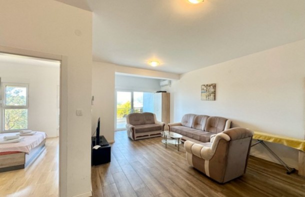 Продаж квартир в Чорногорії в Рафаїловичі rf01449.1bd_s8324, фото 11