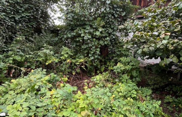 Продаж будинку з земельною ділянкою біля центральної дороги, фото 31