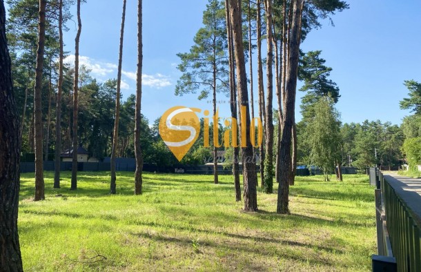 У сосновому лісі біля Романківська Усадьба, Новообухівський напрямок, 42,61 сотки, фото 6