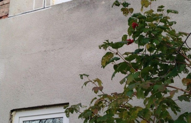 Дача сад.тов.Бистриця Надвірнянська, фото 4