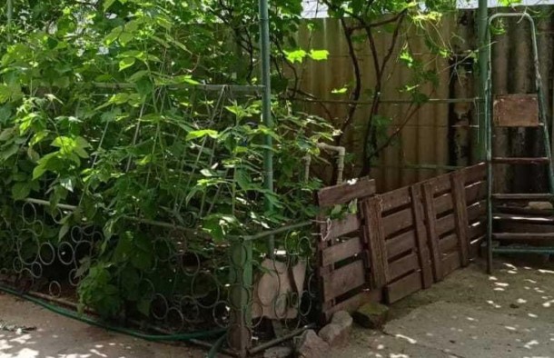 Два будинки на одній ділянці, фото 13