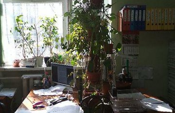 Продам офисное помещение 100 кв.м. на 1 этаже в нежилом помещении в жилом доме в Виннице, в районе Замостье, одноэтажное здание, фото 4